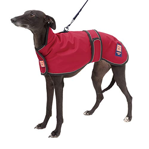 Ginger Ted Waterproof Harness Greyhound Whippet Lurcher Dog Coat - size 22"/56cm Cherry Red - for sighthounds, warm fleecy lining, harness slot, reflective piping, jacket raincoat style