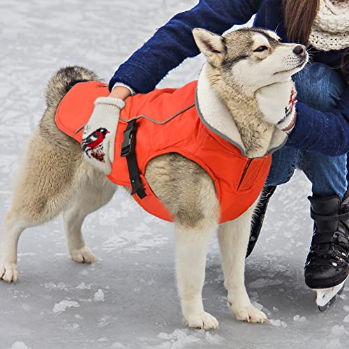 EMUST Dog Coat Winter, Waterproof Dog Snow Jacket for Winter, Adjustable Small/Medium/Large Dog Coat/s for Winter, Orange, L